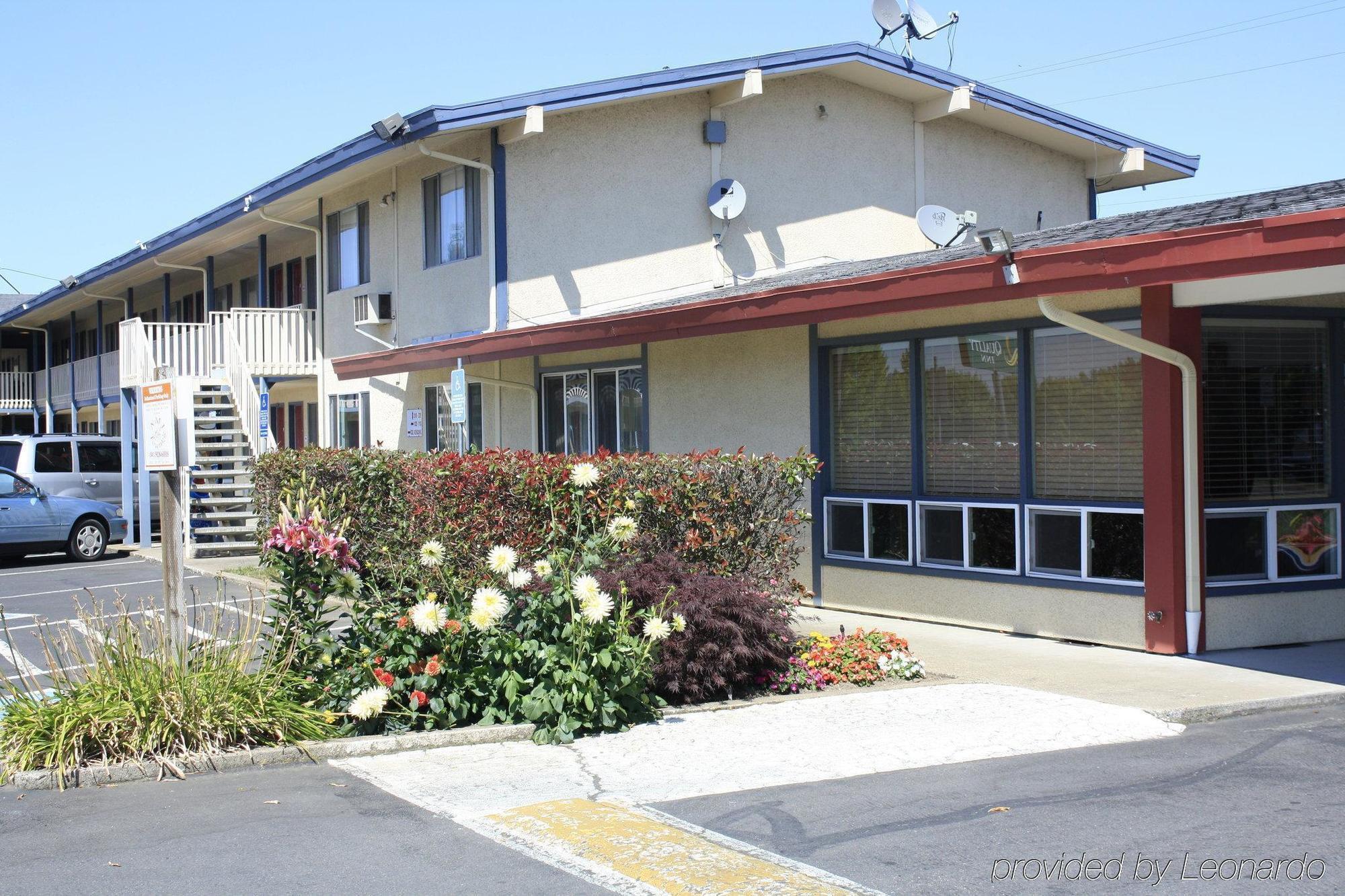 Rodeway Inn Albany Dış mekan fotoğraf