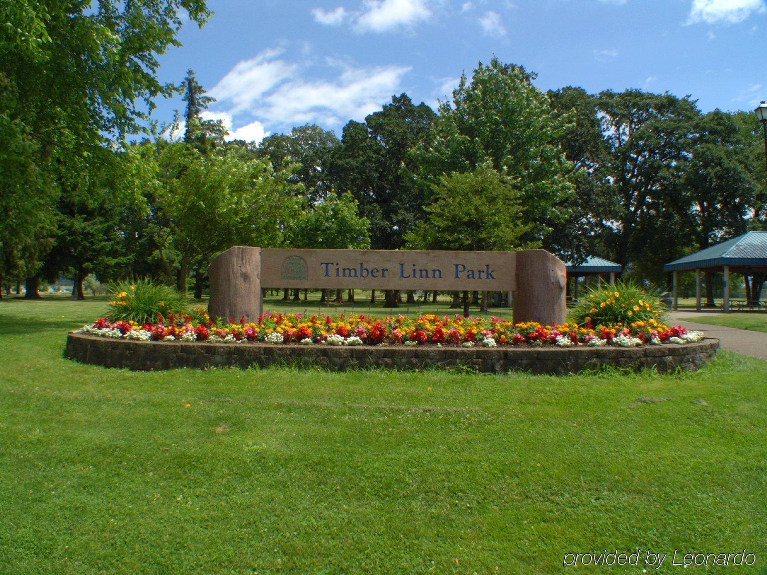 Rodeway Inn Albany Dış mekan fotoğraf